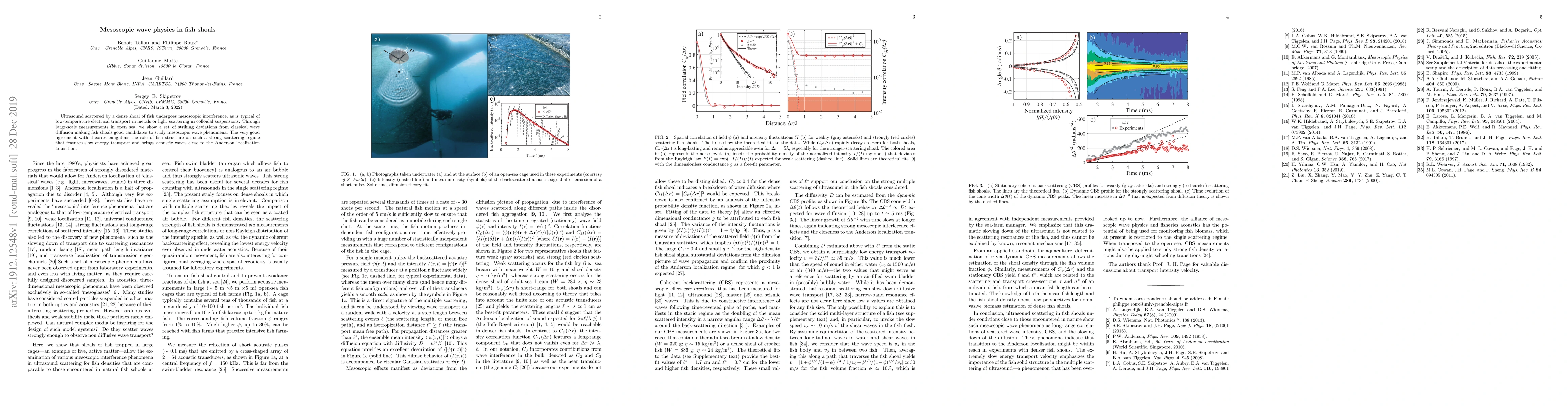 Thumbnail for Mesoscopic wave physics in fish shoals