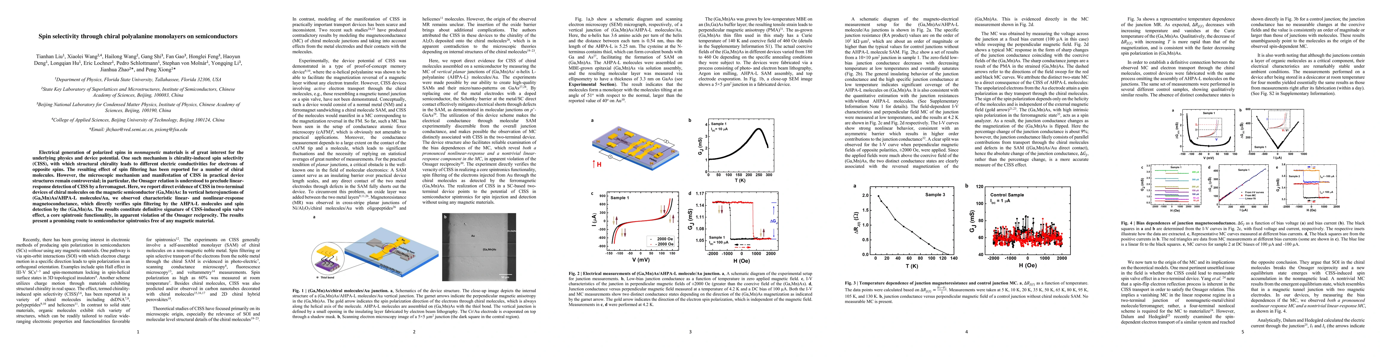 Thumbnail for Spin selectivity through chiral polyalanine monolayers on semiconductors