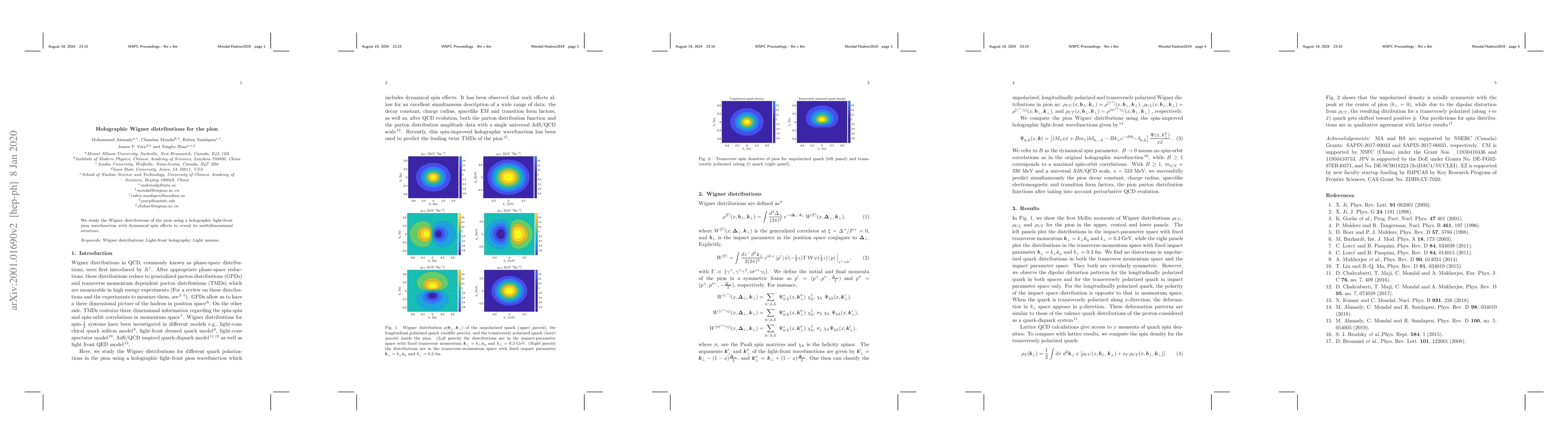 Thumbnail for Holographic Wigner distributions for the pion
