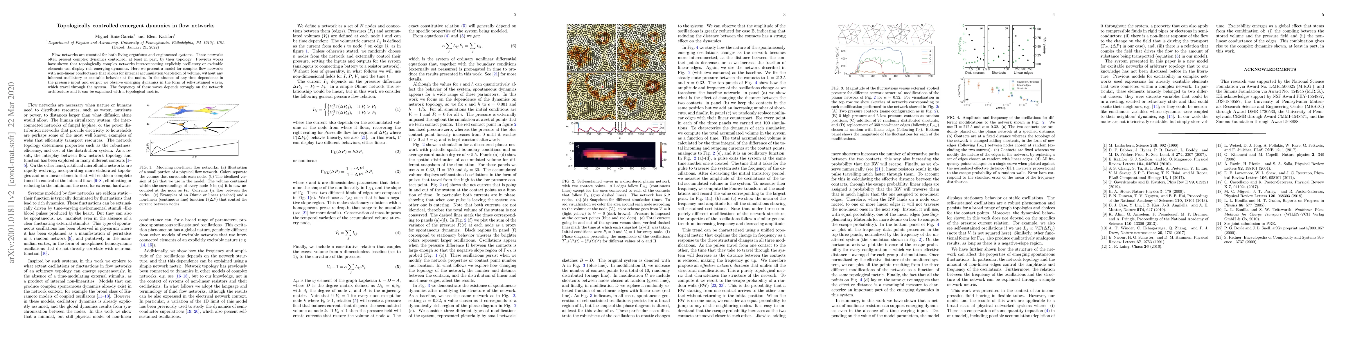 Thumbnail for Topologically controlled emergent dynamics in flow networks