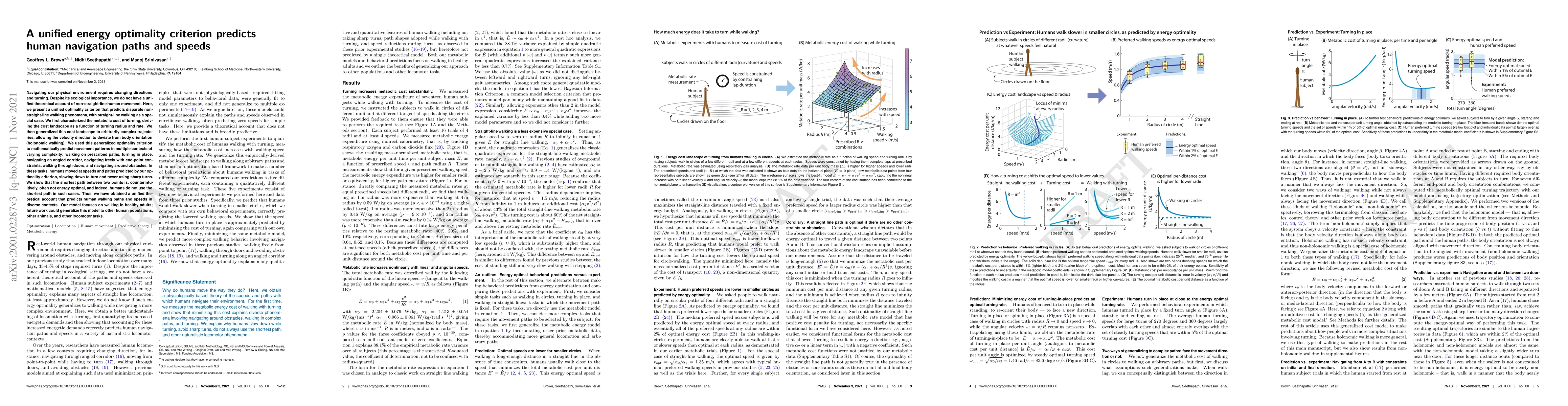 Thumbnail for A unified energy optimality criterion predicts human navigation paths
  and speeds