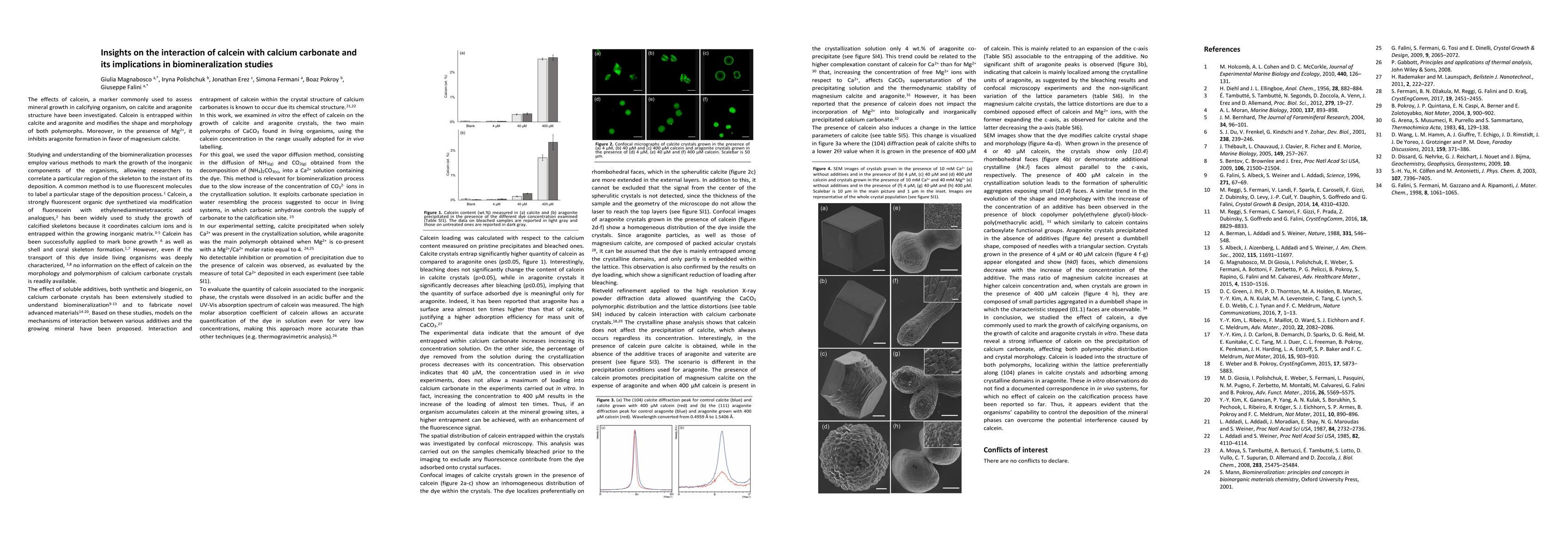 Thumbnail for Insights on the interaction of calcein with calcium carbonate and its
  implications in biomineralization studies