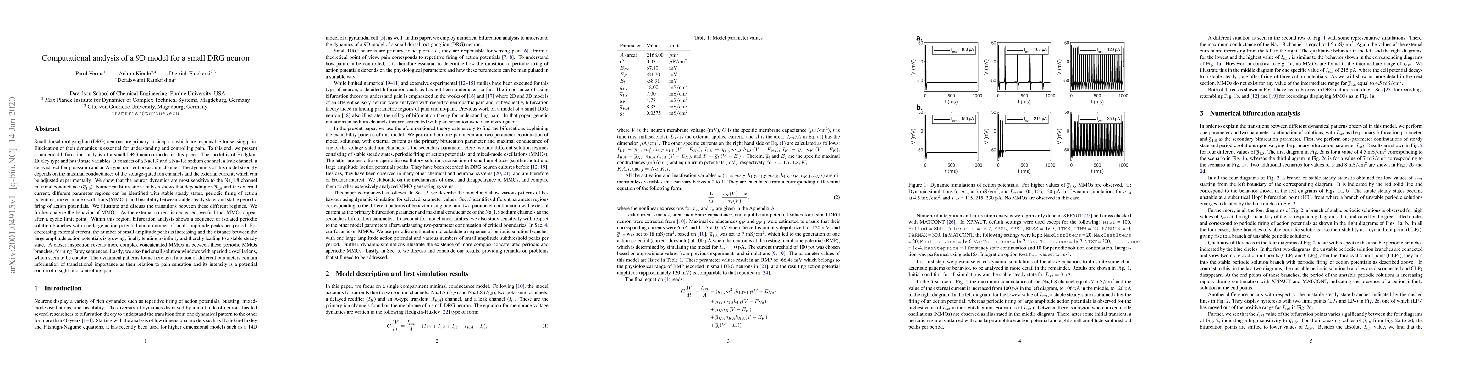 Thumbnail for Computational analysis of a 9D model for a small DRG neuron