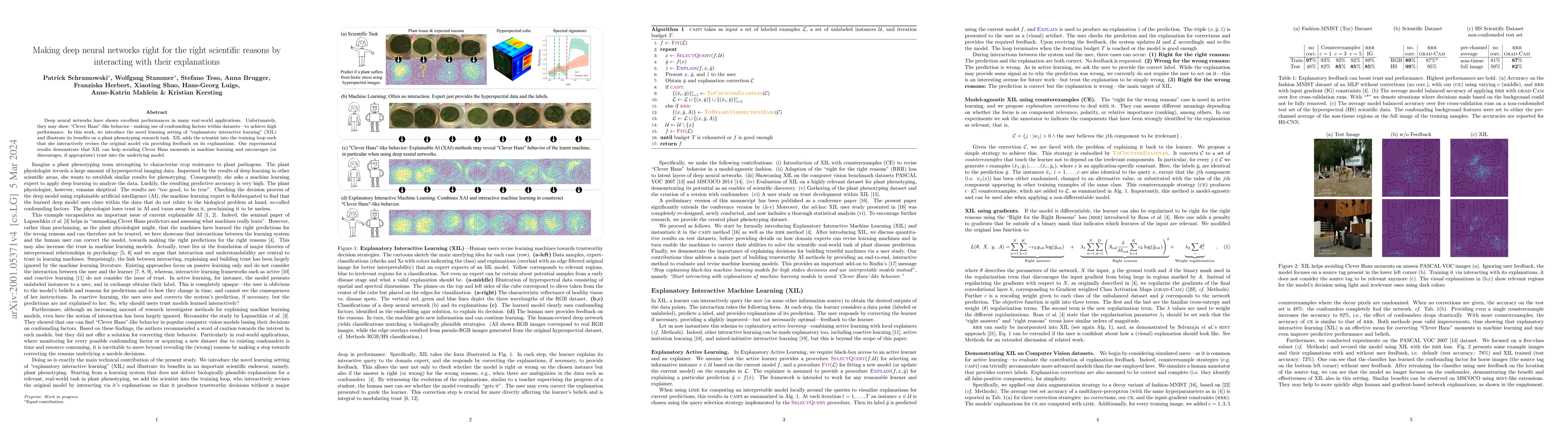 Thumbnail for Making deep neural networks right for the right scientific reasons by
  interacting with their explanations