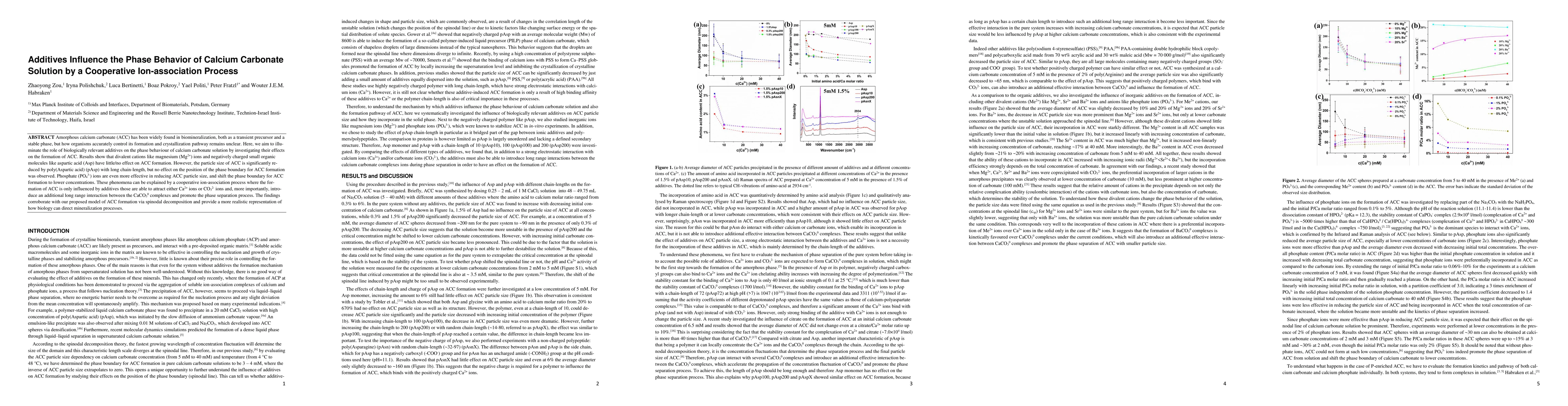 Thumbnail for Additives Influence the Phase Behavior of Calcium Car-bonate Solution by
  a Cooperative Ion-association Process