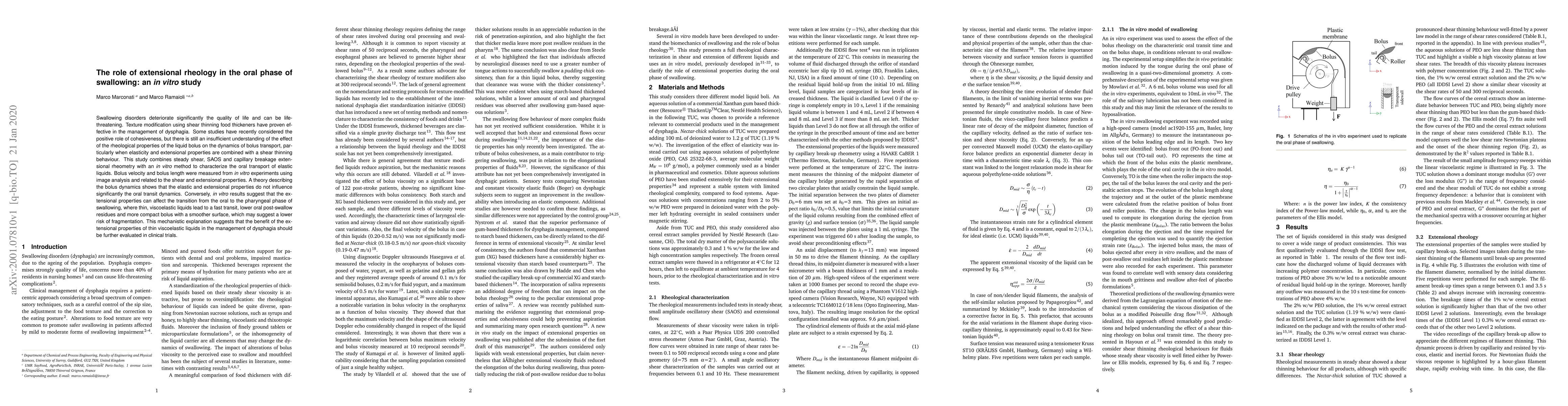 Thumbnail for The role of extensional rheology in the oral phase of swallowing: an in
  vitro study