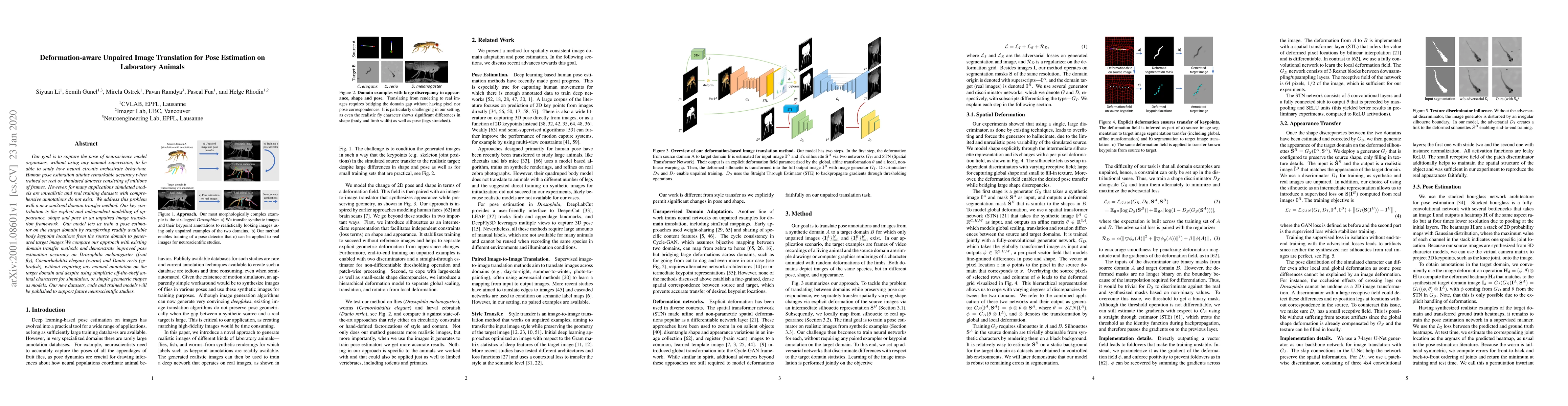 Thumbnail for Deformation-aware Unpaired Image Translation for Pose Estimation on
  Laboratory Animals