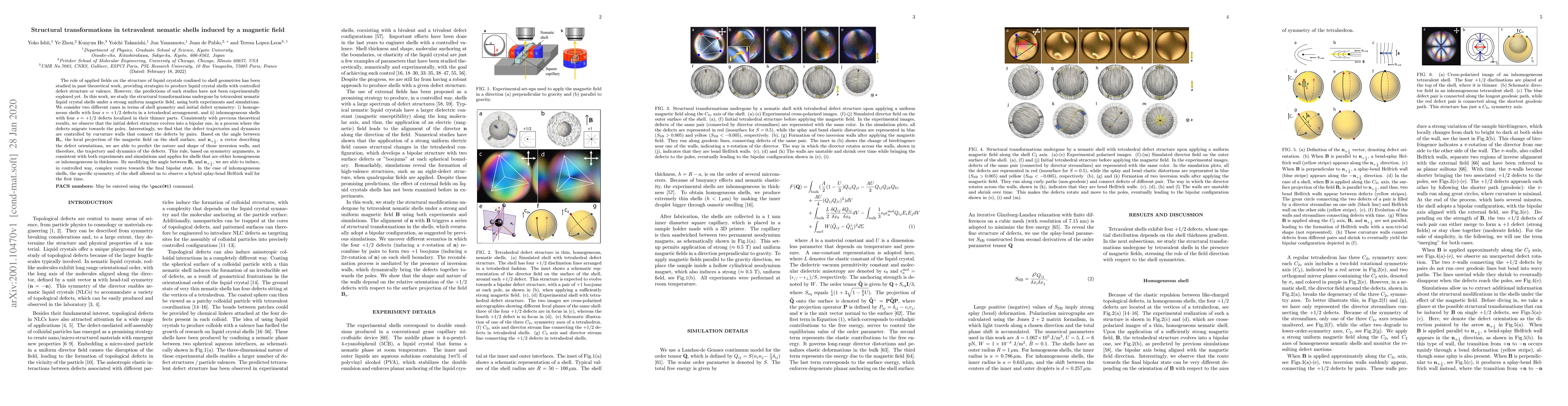 Thumbnail for Structural transformations in tetravalent nematic shells induced by a
  magnetic field
