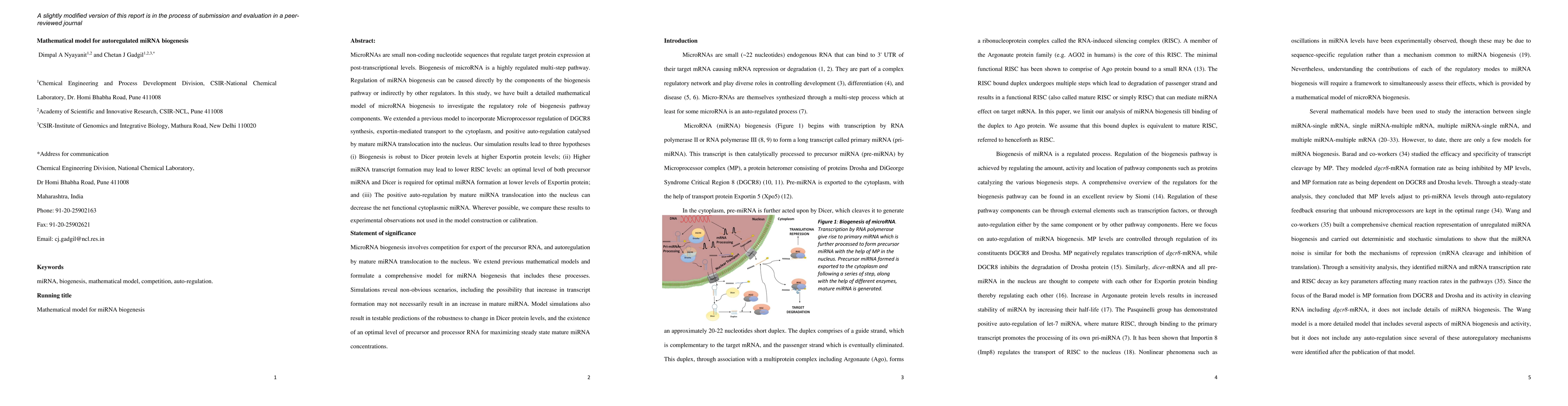 Thumbnail for Mathematical model for autoregulated miRNA biogenesis