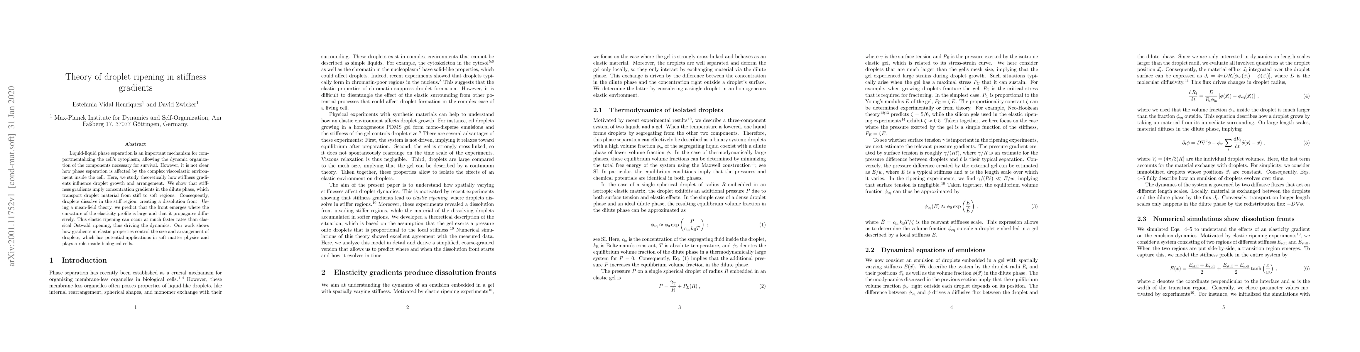 Thumbnail for Theory of droplet ripening in stiffness gradients