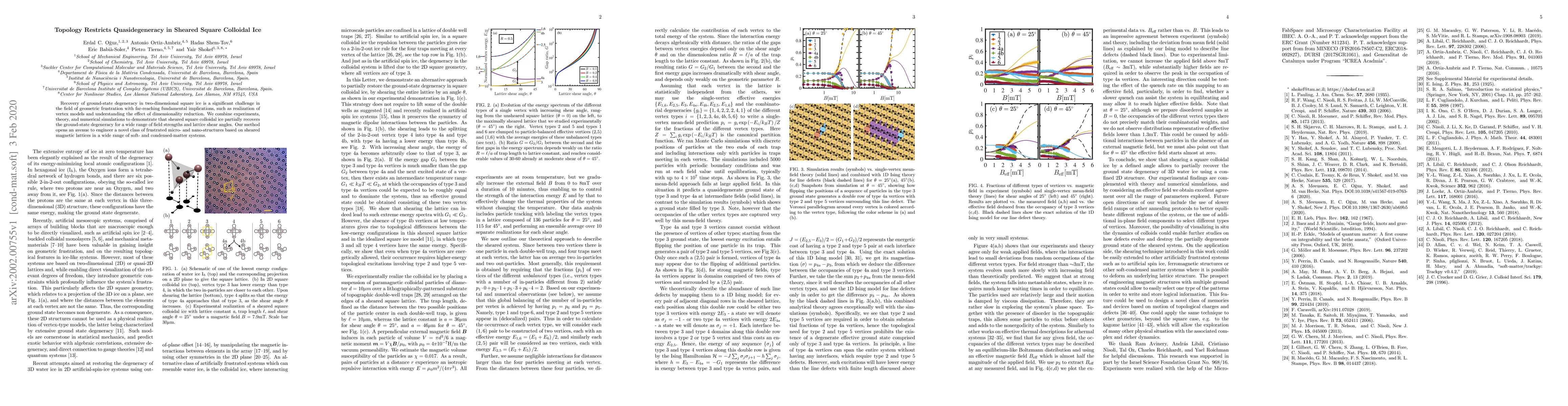 Thumbnail for Topology Restricts Quasidegeneracy in Sheared Square Colloidal Ice