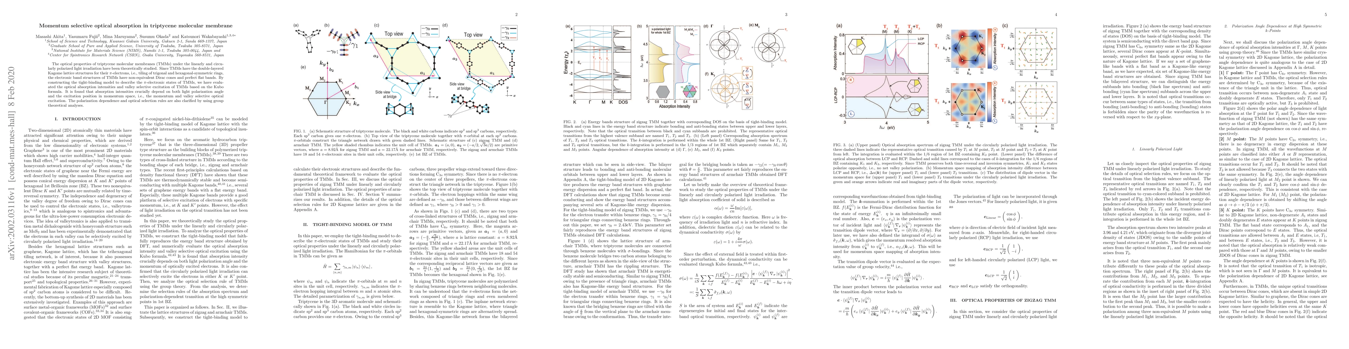 Thumbnail for Momentum selective optical absorption in triptycene molecular membrane