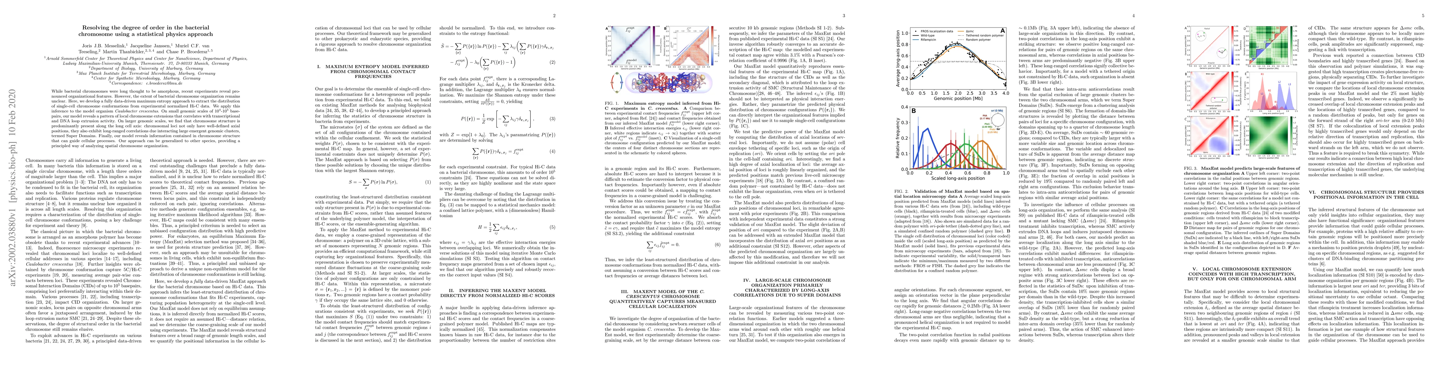 Thumbnail for Resolving the degree of order in the bacterial chromosome using a
  statistical physics approach
