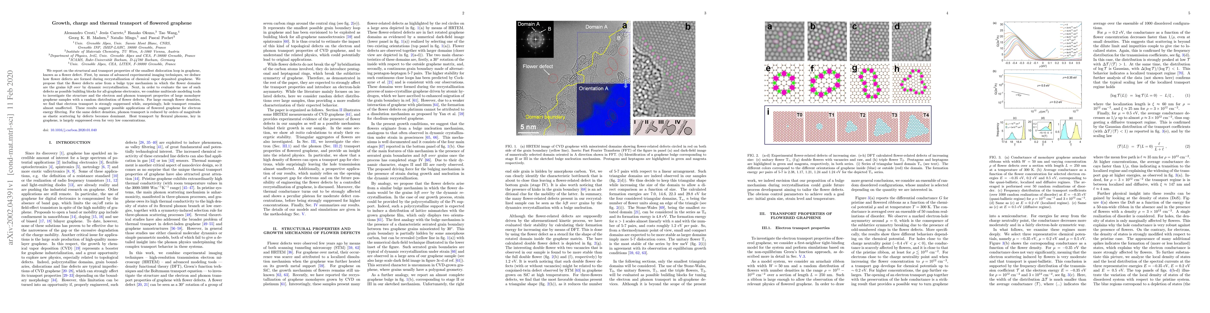 Thumbnail for Growth, charge and thermal transport of flowered graphene