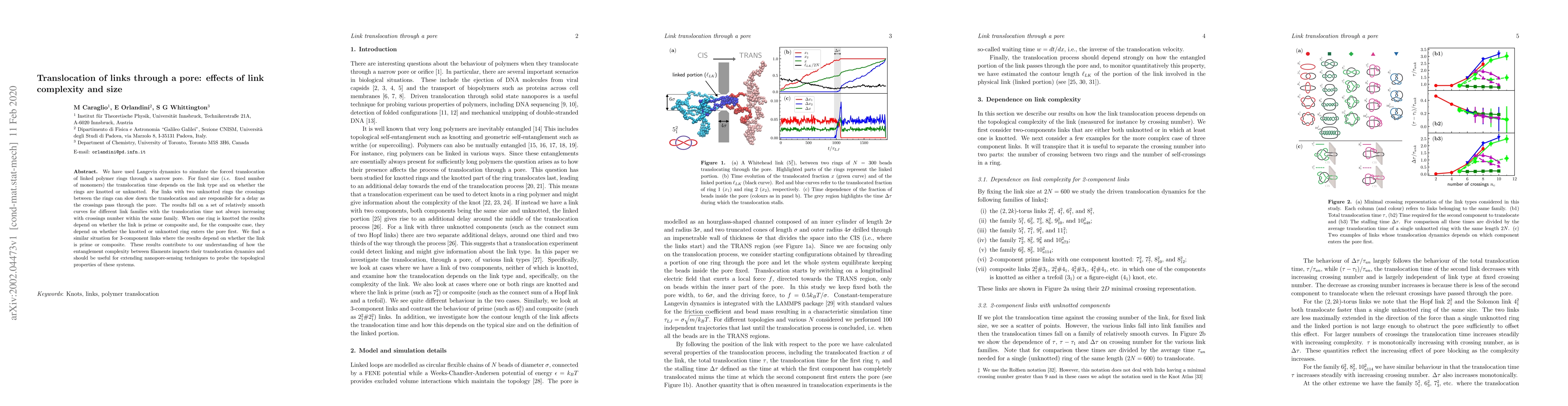 Thumbnail for Translocation of links through a pore: effects of link complexity and
  size