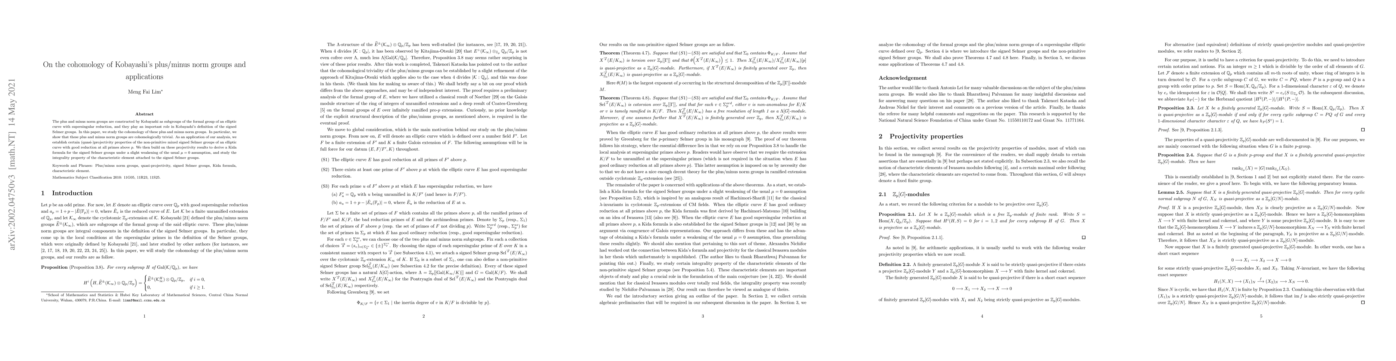 Thumbnail for On the cohomology of Kobayashi's plus/minus norm groups and applications