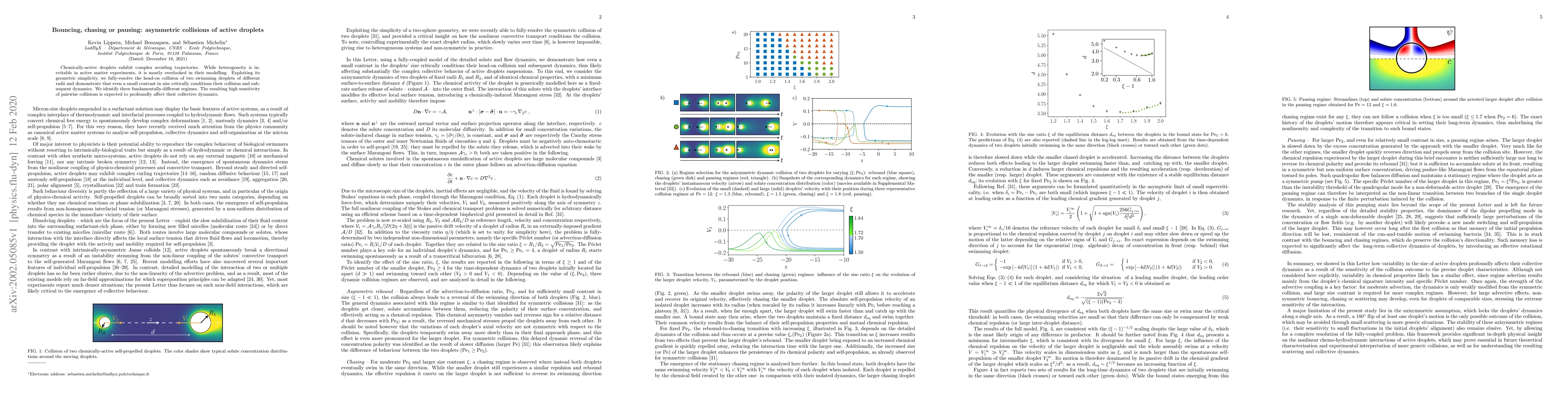 Thumbnail for Bouncing, chasing or pausing: asymmetric collisions of active droplets