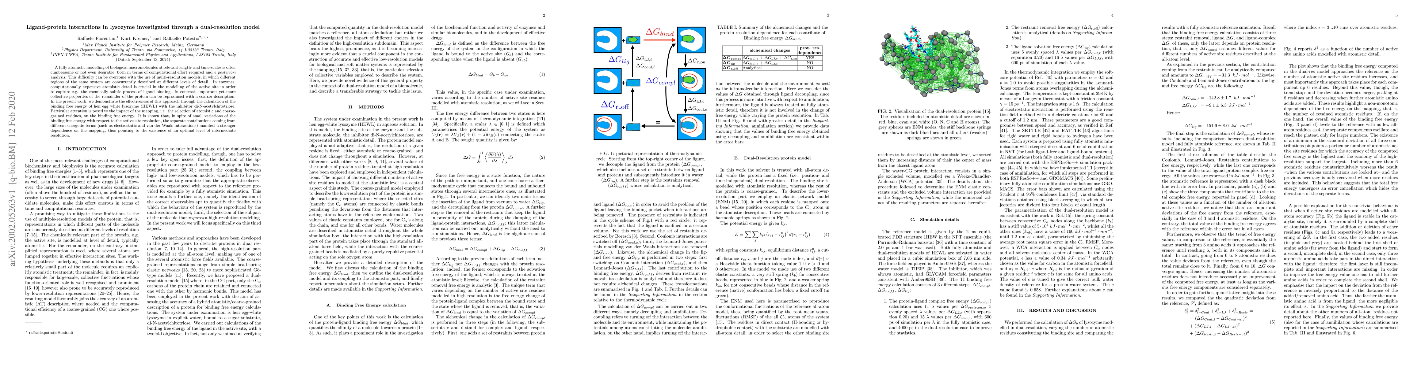 Thumbnail for Ligand-protein interactions in lysozyme investigated through a
  dual-resolution model
