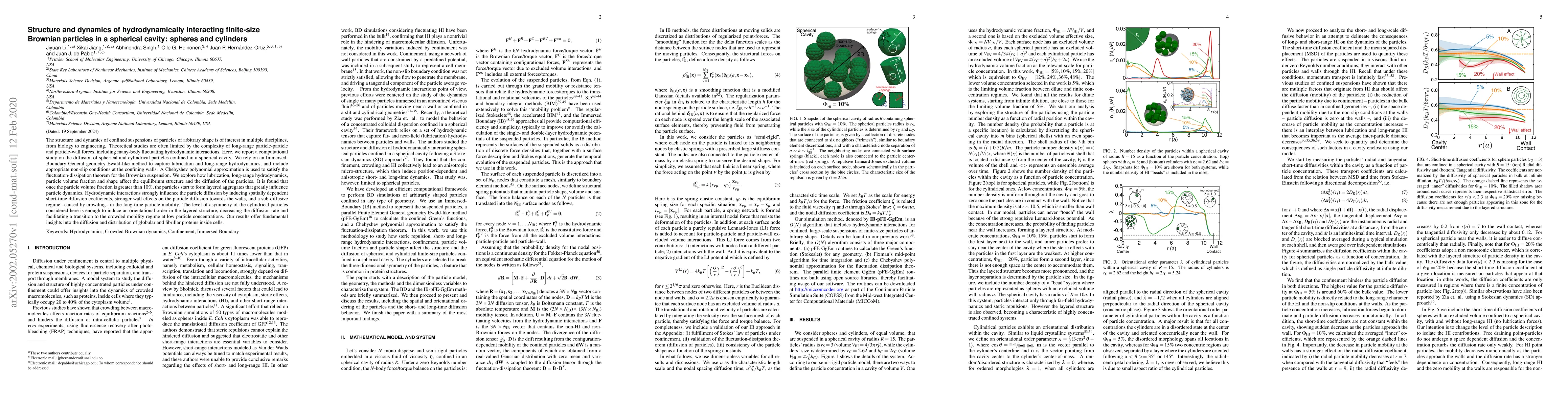 Thumbnail for Structure and dynamics of hydrodynamically interacting finite-size
  Brownian particles in a spherical cavity: spheres and cylinders