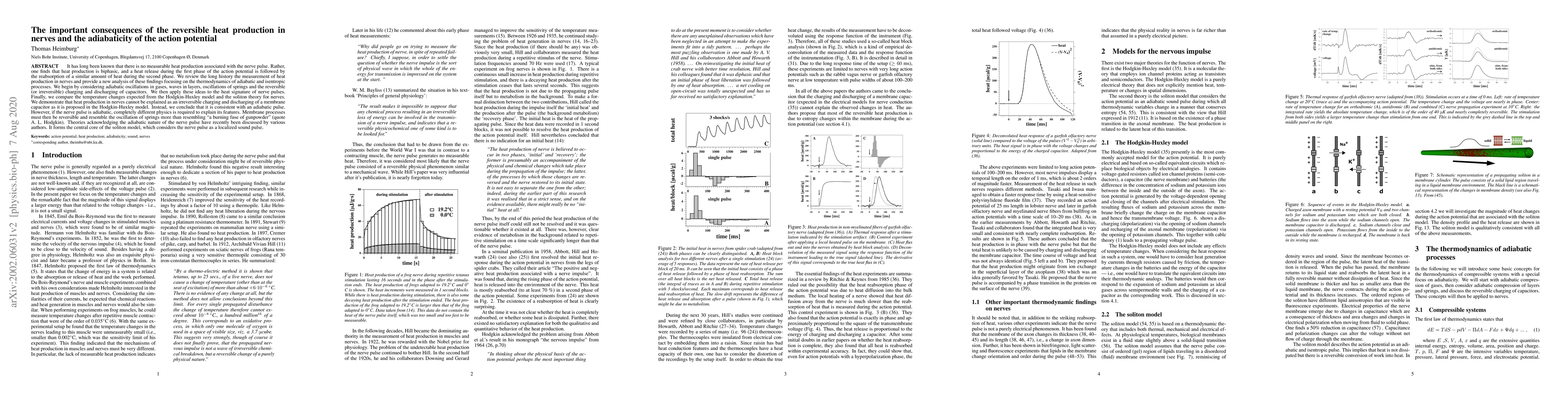 Thumbnail for The important consequences of the reversible heat production in nerves
  and the adiabaticity of the action potential