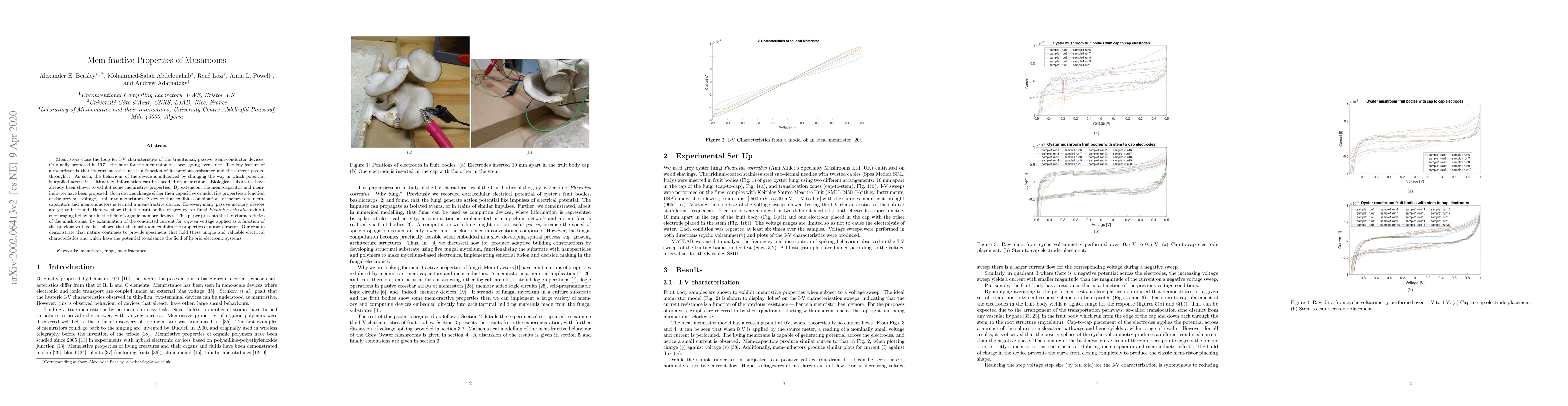 Thumbnail for Mem-fractive Properties of Mushrooms