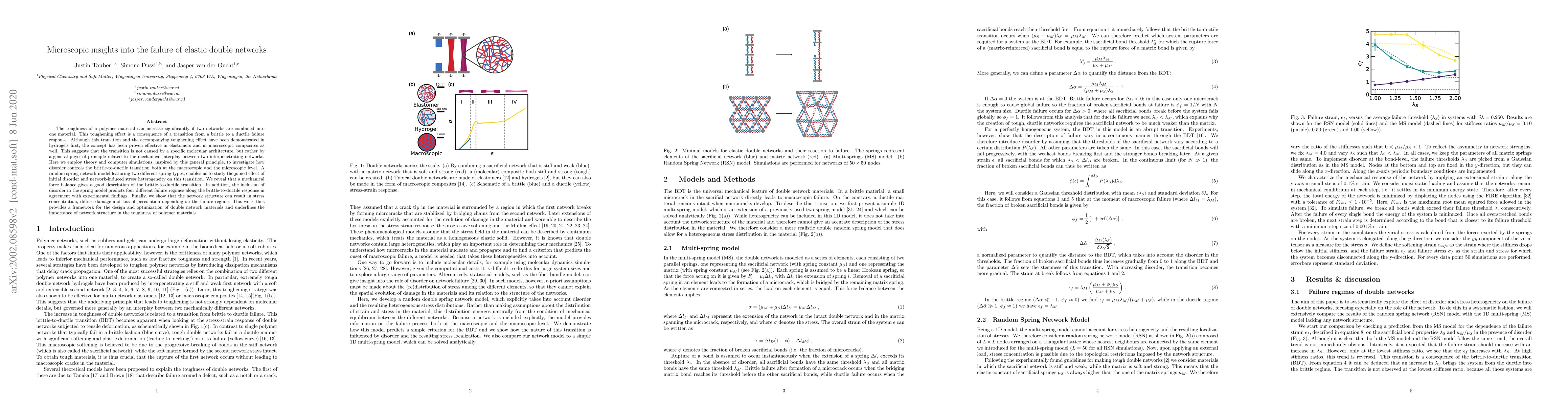 Thumbnail for Microscopic insights into the failure of elastic double networks