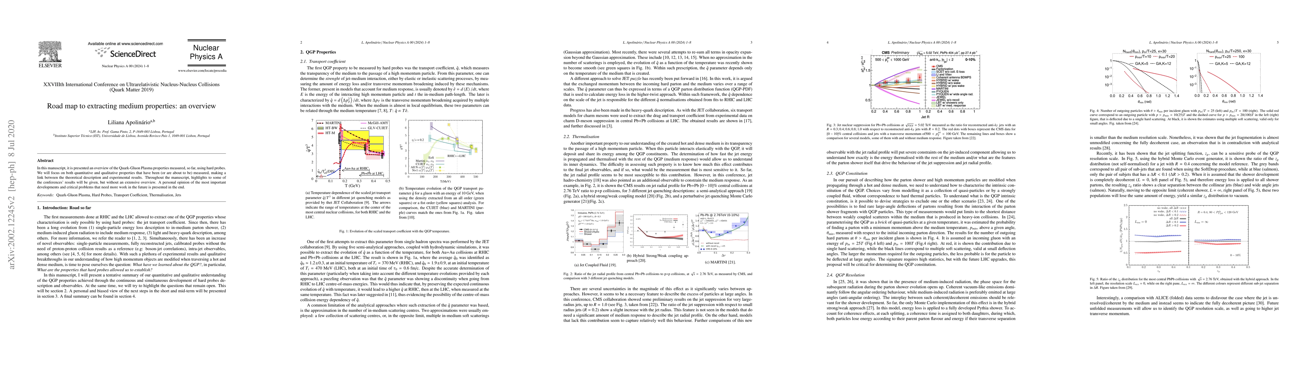 Thumbnail for Road map to extracting medium properties: an overview