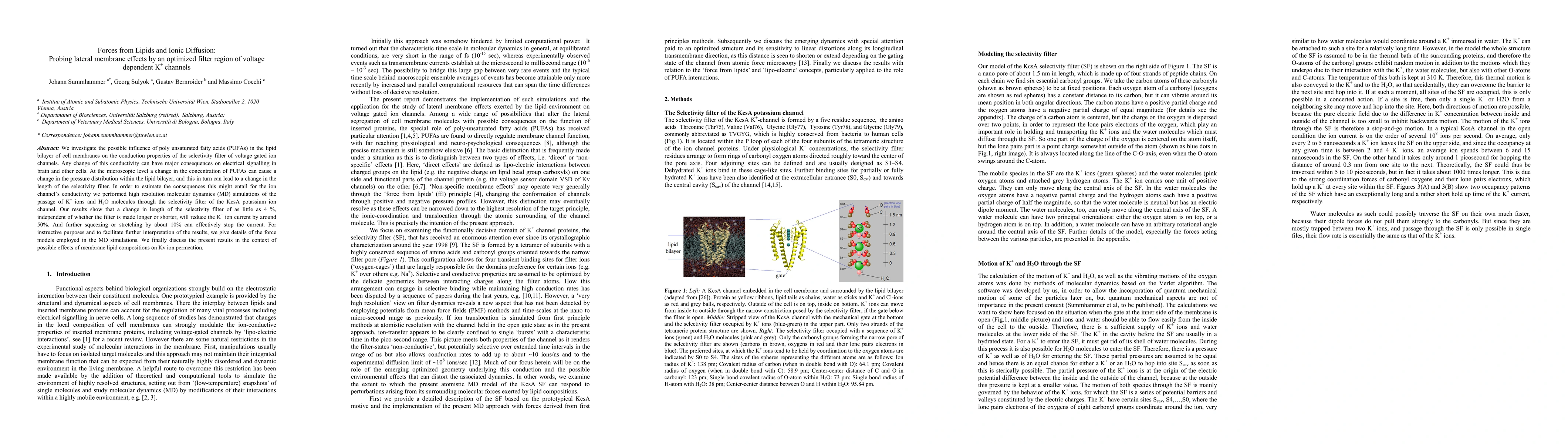 Thumbnail for Forces from Lipids and Ionic Diffusion: Probing lateral membrane effects
  by an optimized filter region of voltage dependent K+ channels