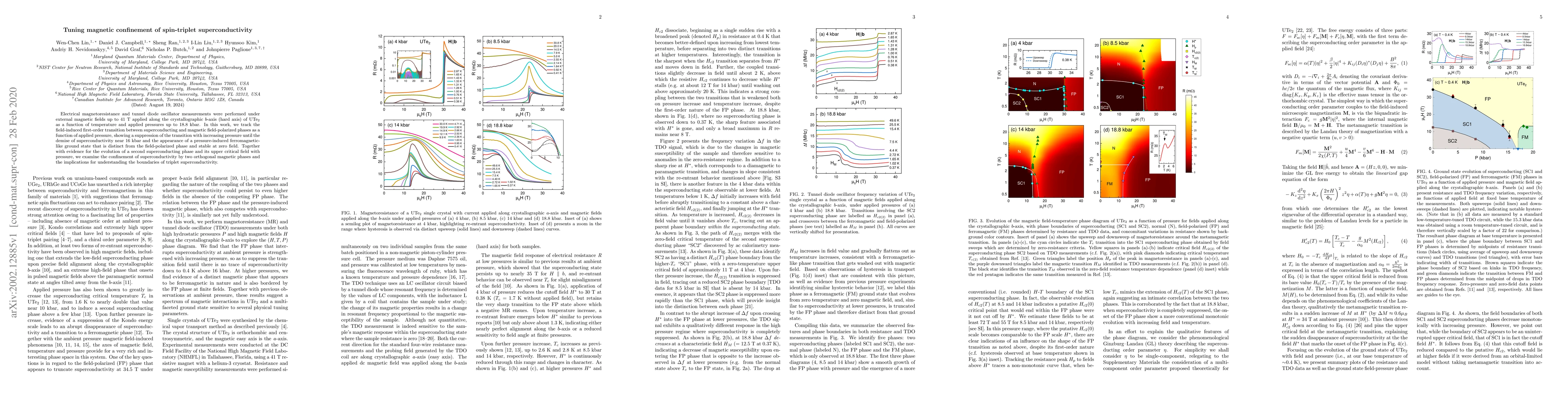 Thumbnail for Tuning magnetic confinement of spin-triplet superconductivity