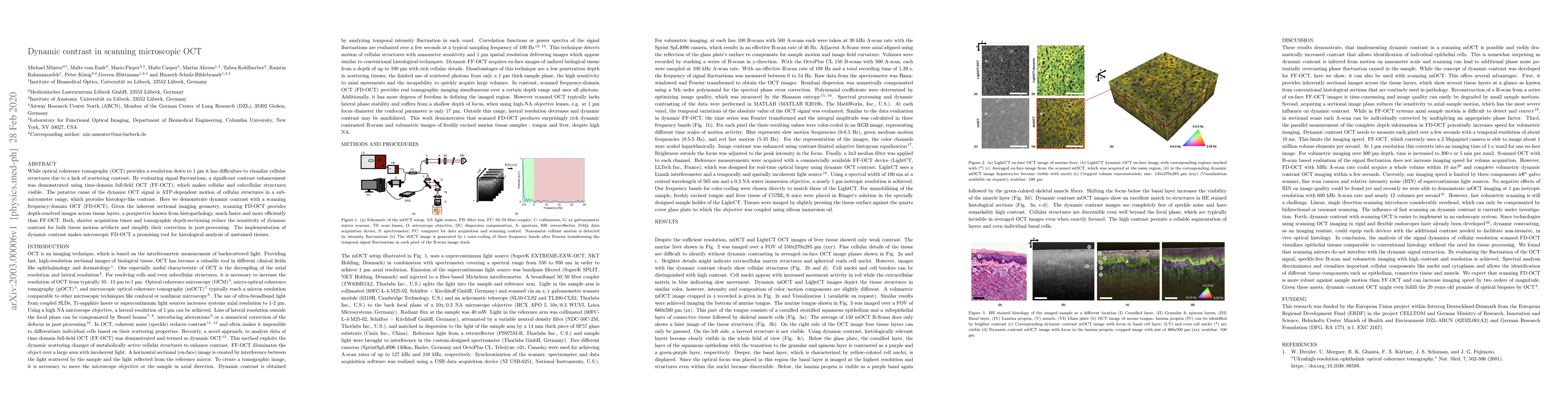 Thumbnail for Dynamic contrast in scanning microscopic OCT