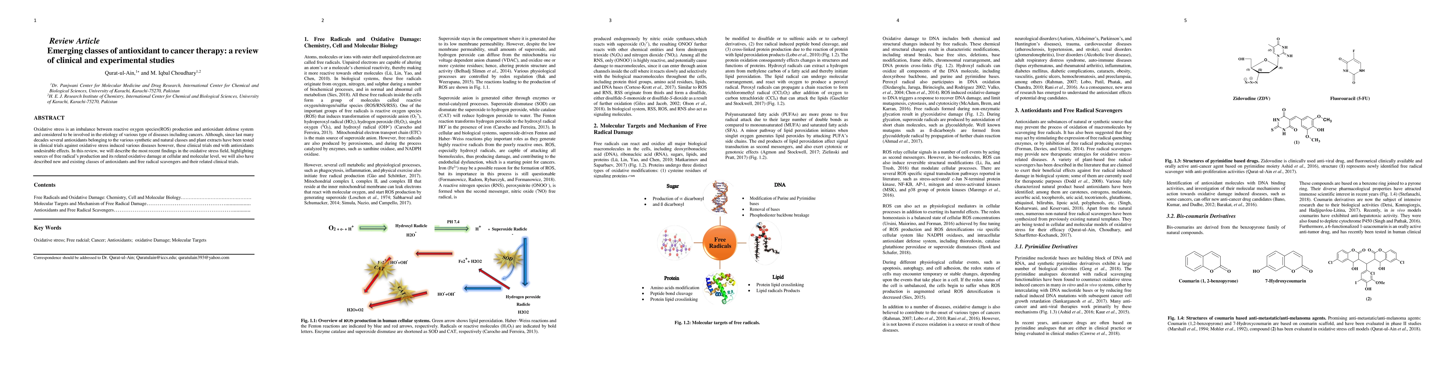 Thumbnail for Emerging classes of antioxidant to cancer therapy: a review of clinical
  and experimental studies