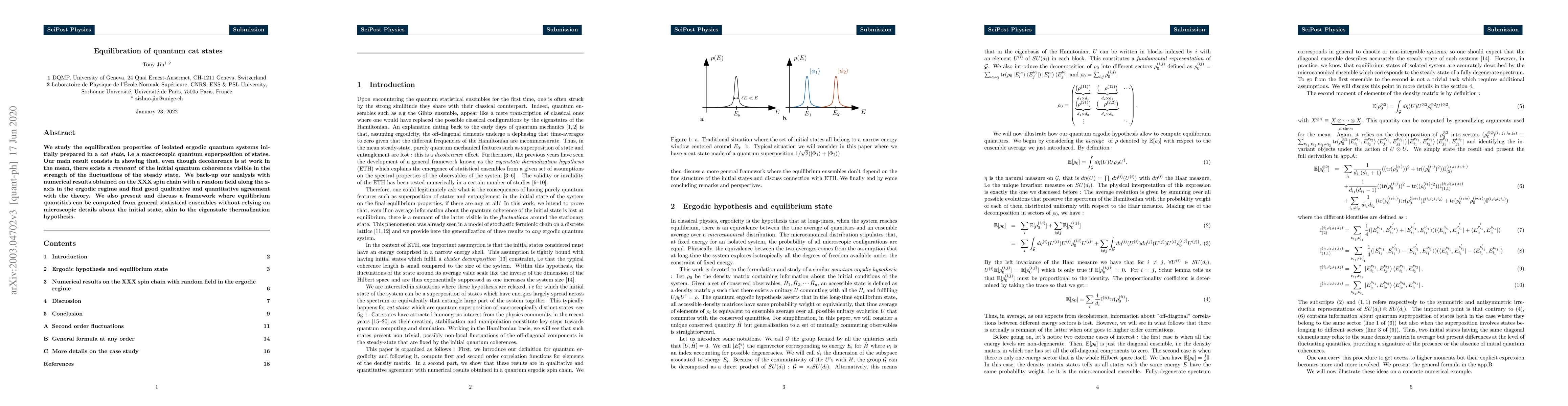 Thumbnail for Equilibration of quantum cat states