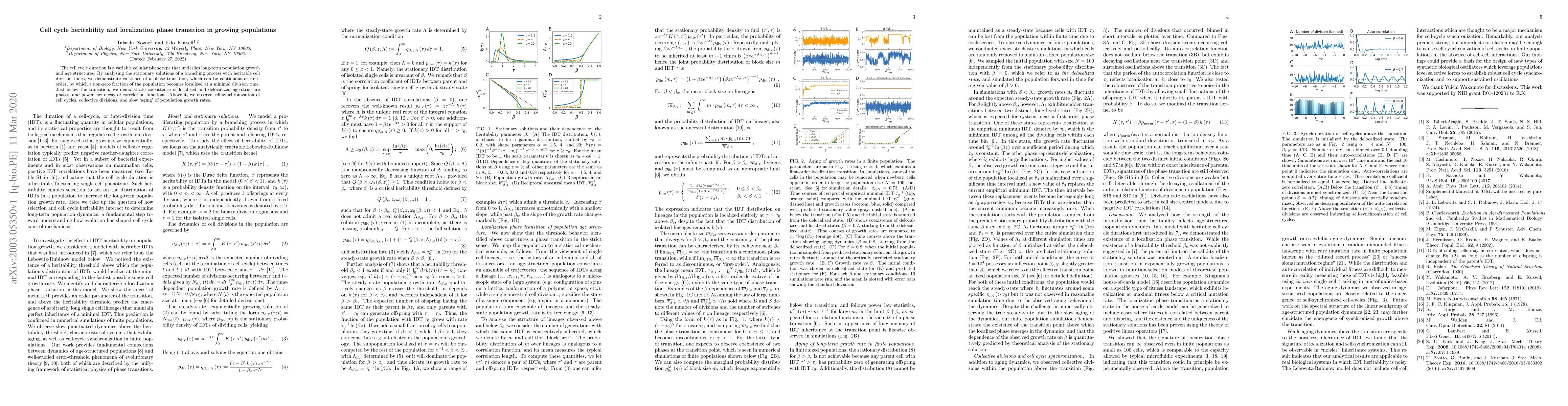Thumbnail for Cell cycle heritability and localization phase transition in growing
  populations