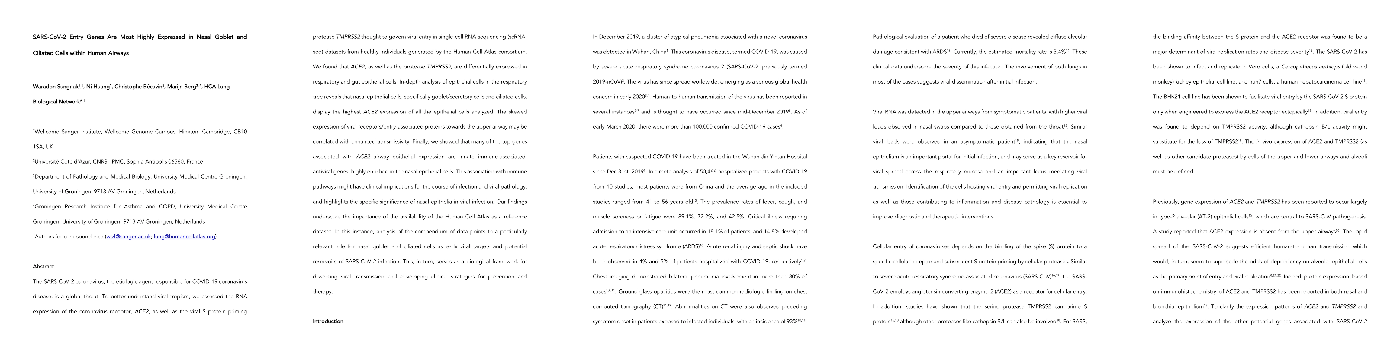 Thumbnail for SARS-CoV-2 Entry Genes Are Most Highly Expressed in Nasal Goblet and
  Ciliated Cells within Human Airways