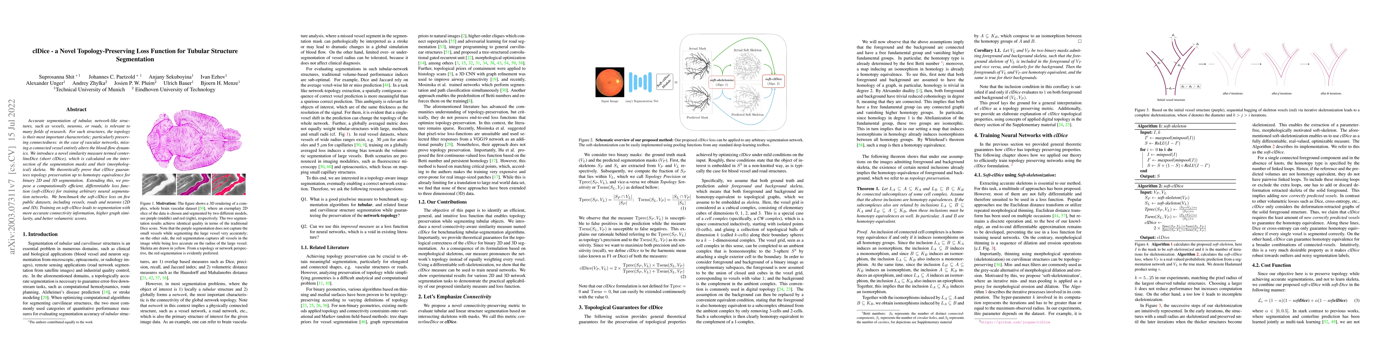Thumbnail for clDice -- A Novel Topology-Preserving Loss Function for Tubular
  Structure Segmentation