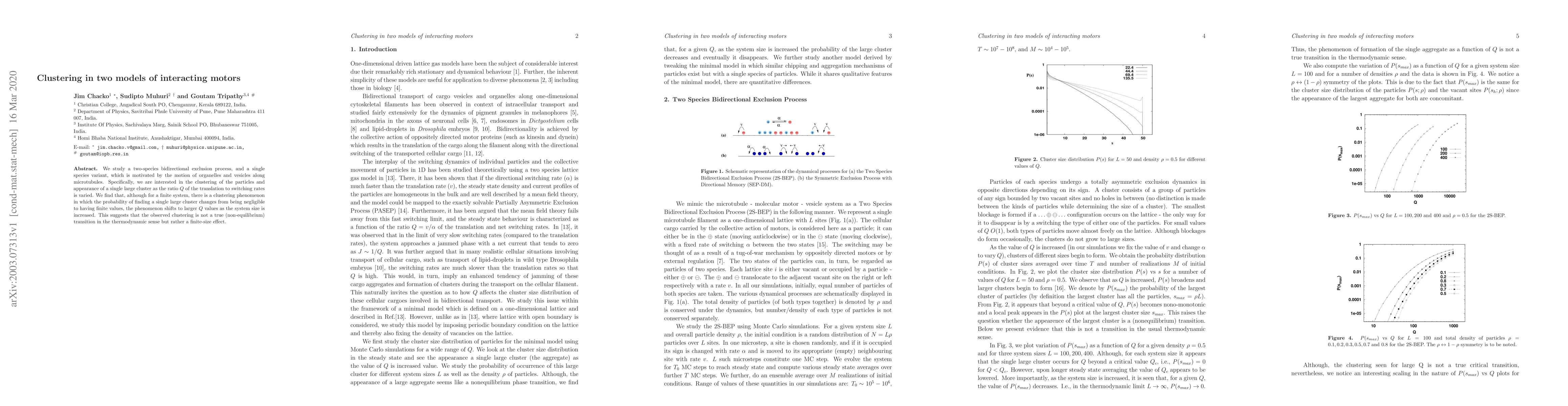 Thumbnail for Clustering in two models of interacting motors