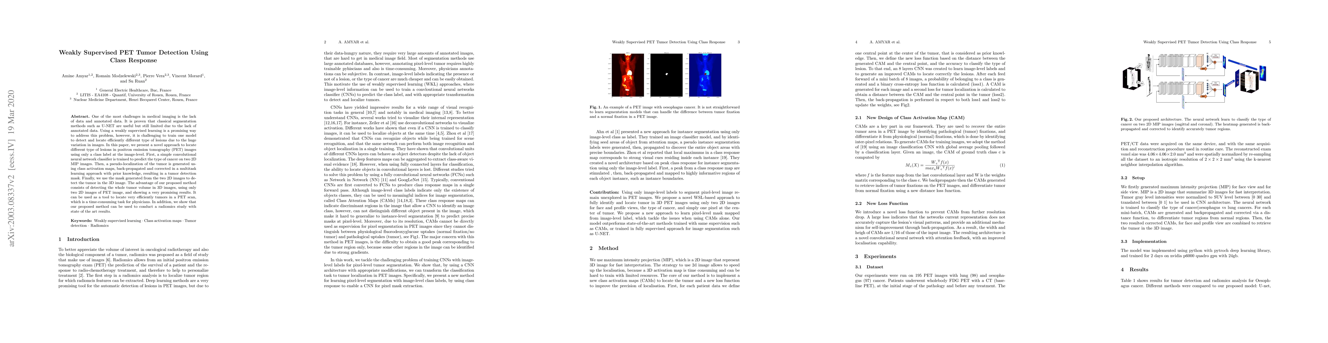 Thumbnail for Weakly Supervised PET Tumor Detection Using Class Response