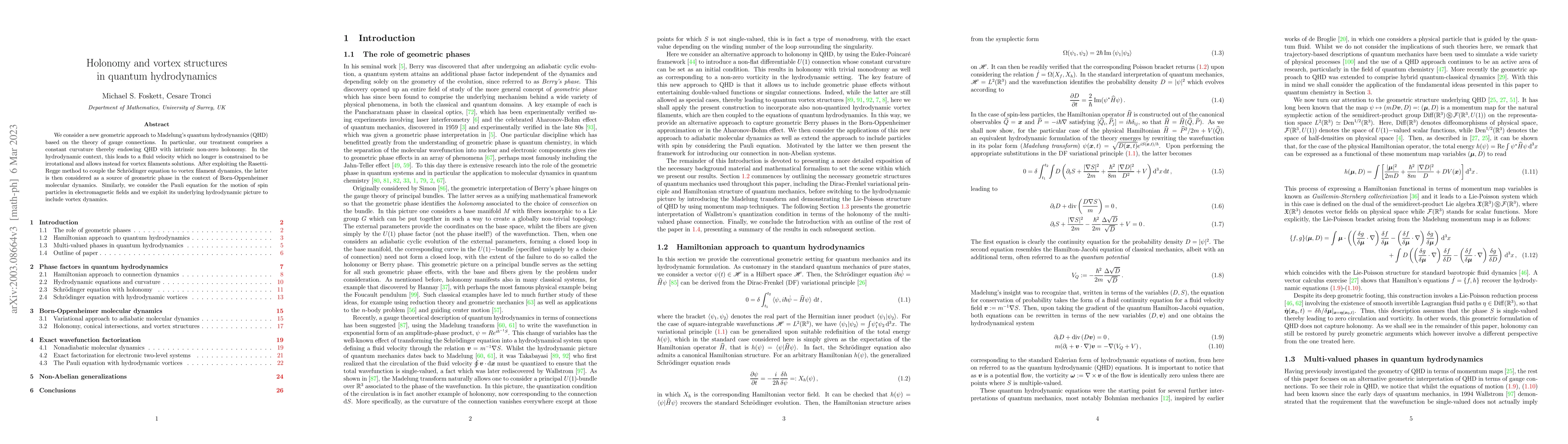 Thumbnail for Holonomy and vortex structures in quantum hydrodynamics