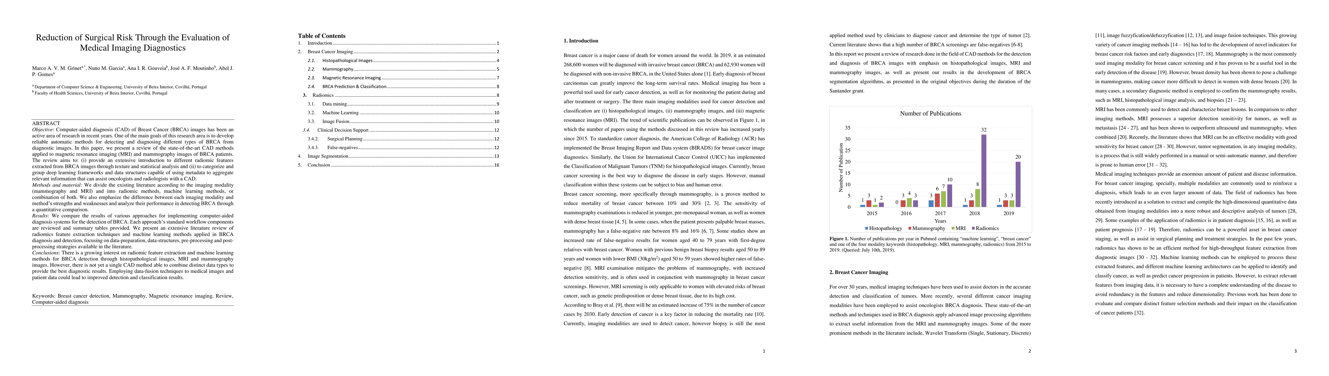 Thumbnail for Reduction of Surgical Risk Through the Evaluation of Medical Imaging
  Diagnostics
