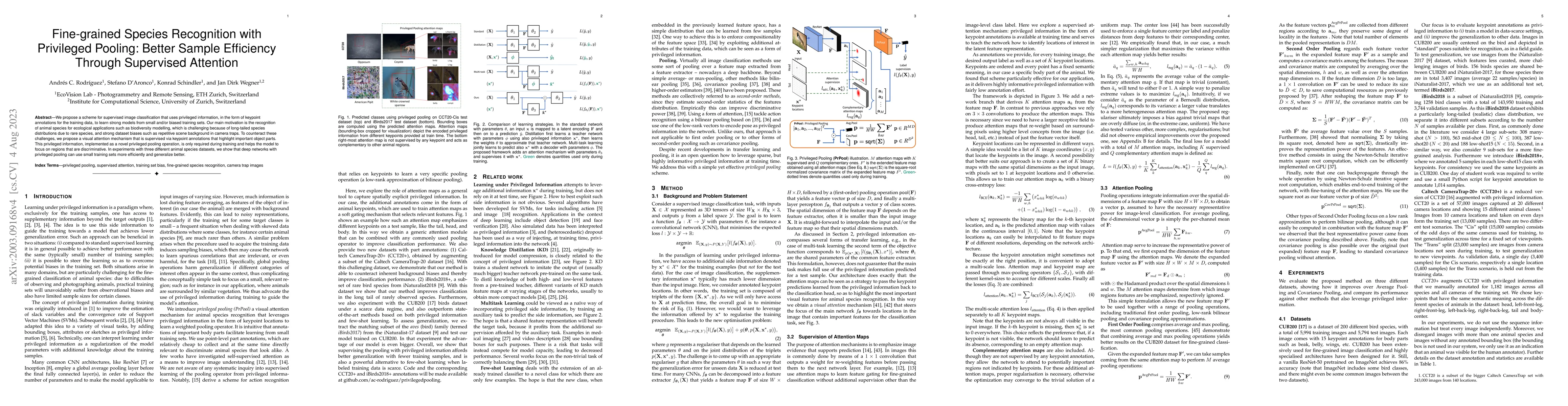 Thumbnail for Fine-grained Species Recognition with Privileged Pooling: Better Sample
  Efficiency Through Supervised Attention