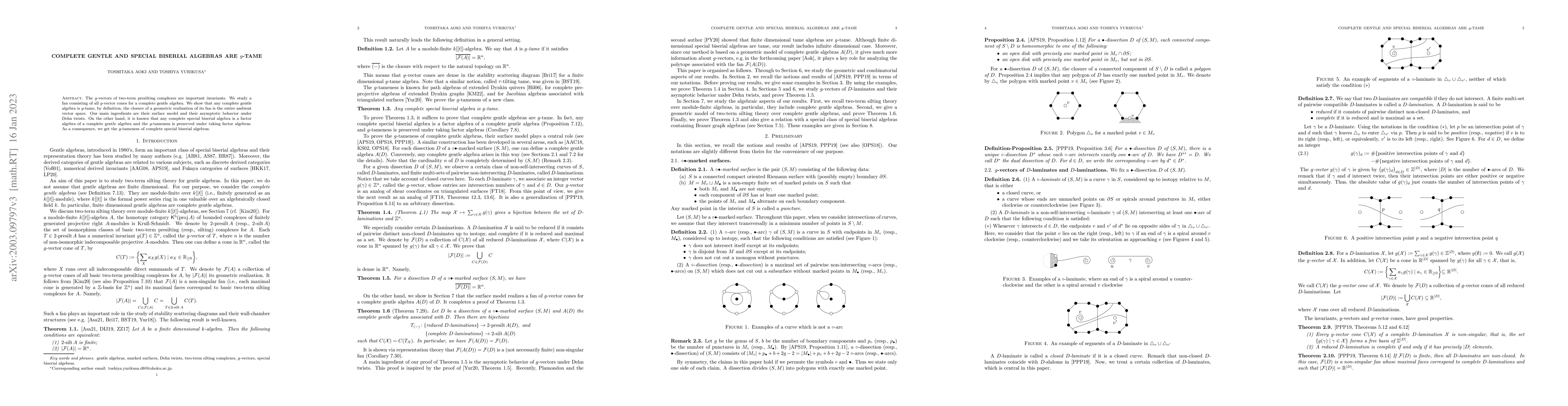 Thumbnail for Complete gentle and special biserial algebras are $g$-tame