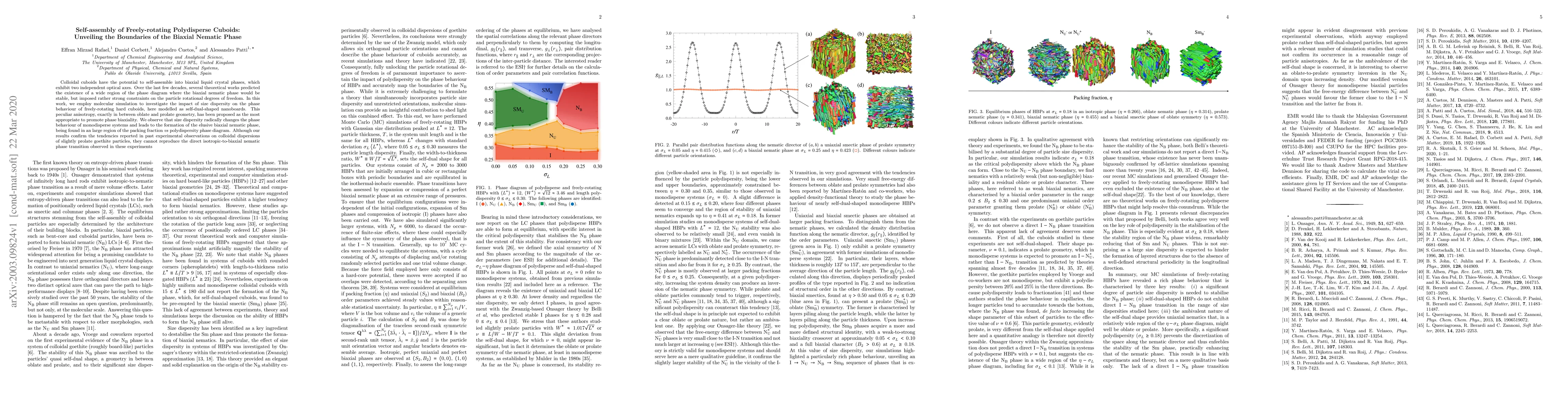 Thumbnail for Self-assembly of Freely-rotating Polydisperse Cuboids: Unveiling the
  Boundaries of the Biaxial Nematic Phase