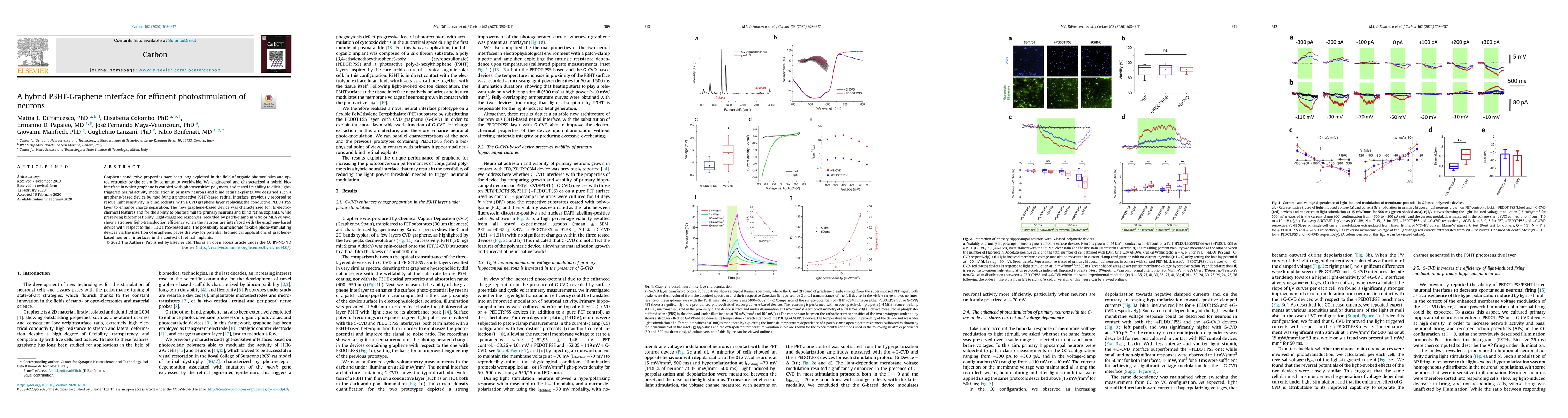 Thumbnail for A hybrid P3HT-Graphene interface for efficient photostimulation of
  neurons