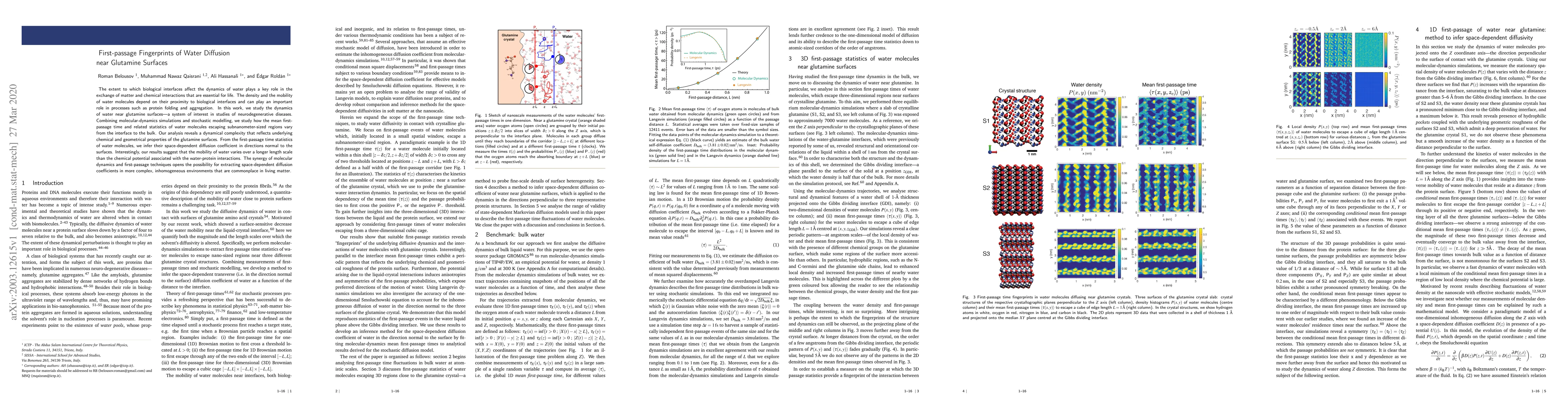Thumbnail for First-passage Fingerprints of Water Diffusion near Glutamine Surfaces