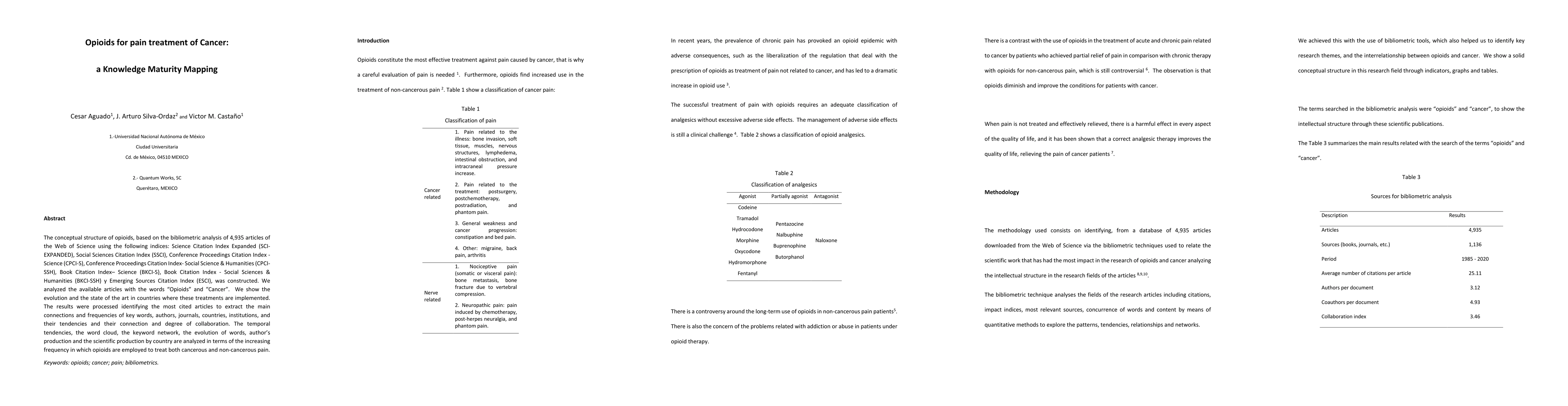 Thumbnail for Opioids for pain treatment of cancer: a knowledge maturity mapping