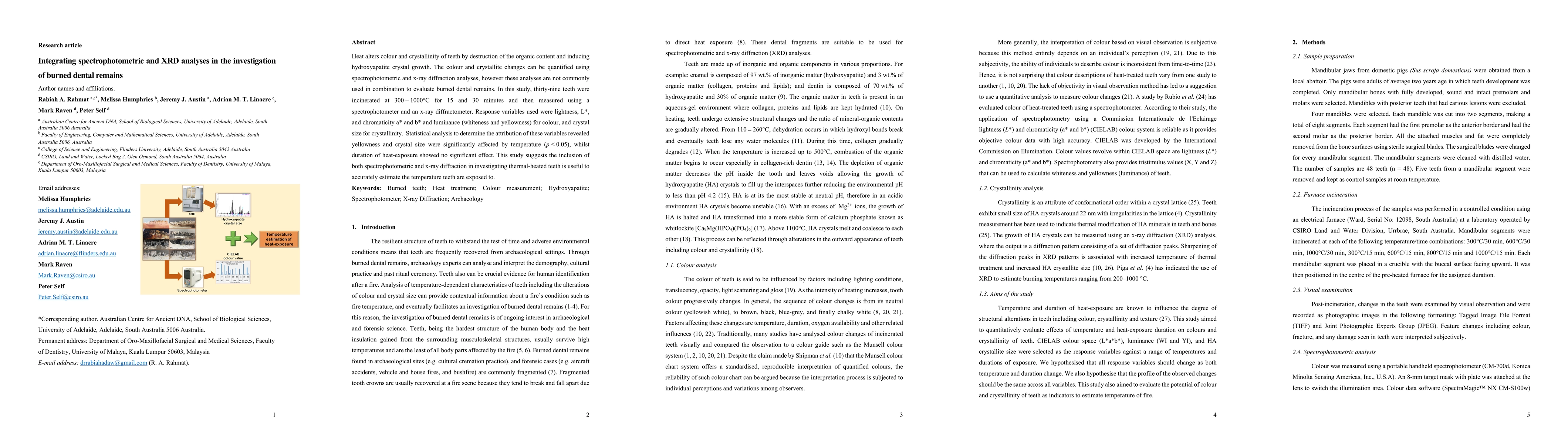 Thumbnail for Integrating spectrophotometric and XRD analyses in the investigation of
  burned dental remains