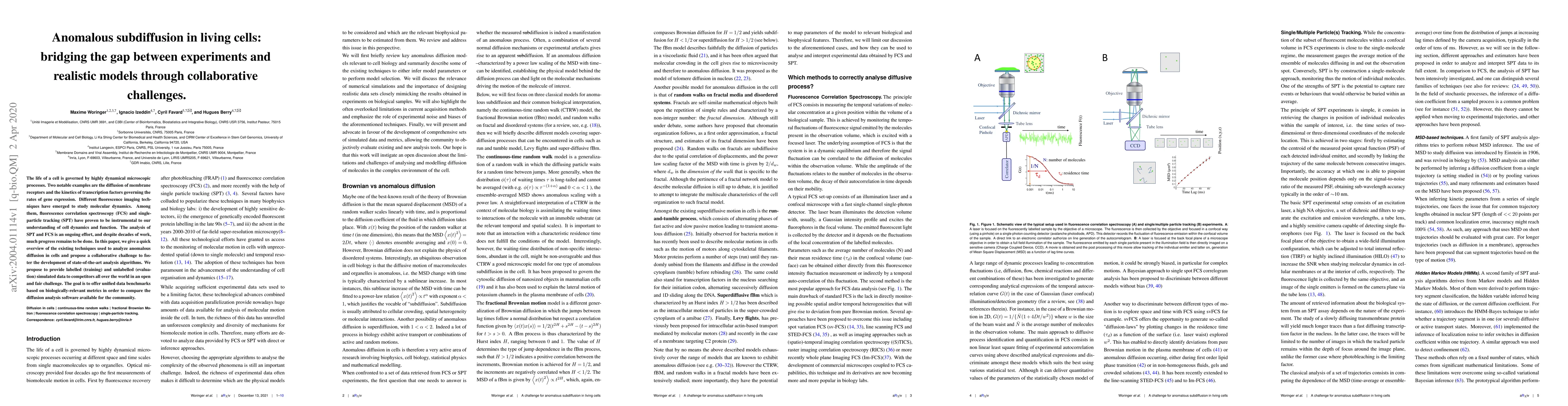 Thumbnail for Anomalous subdiffusion in living cells: bridging the gap between
  experiments and realistic models through collaborative challenges