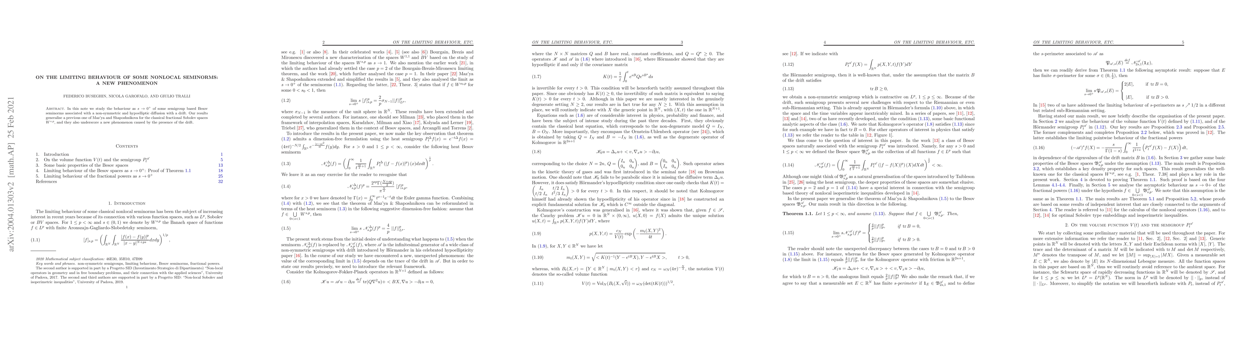 Thumbnail for On the limiting behaviour of some nonlocal seminorms: a new phenomenon