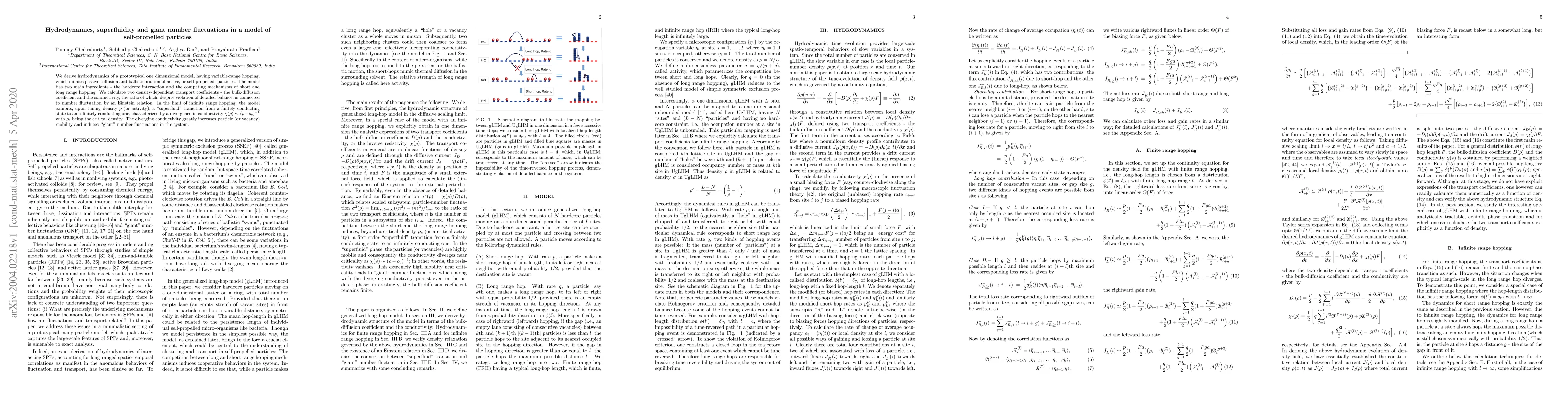 Thumbnail for Hydrodynamics, superfluidity and giant number fluctuations in a model of
  self-propelled particles