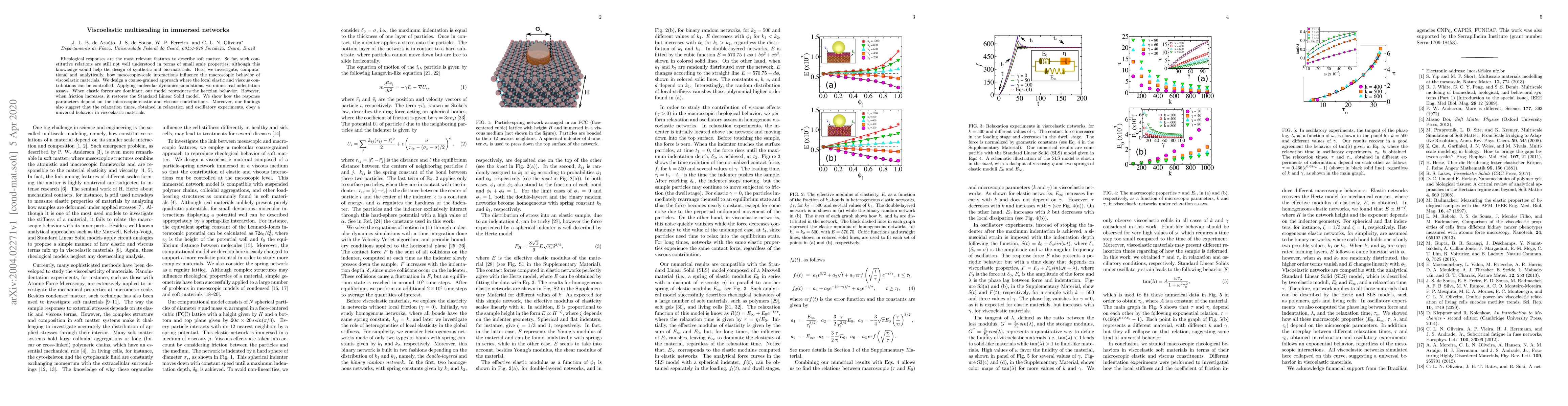 Thumbnail for Viscoelastic multiscaling in immersed networks